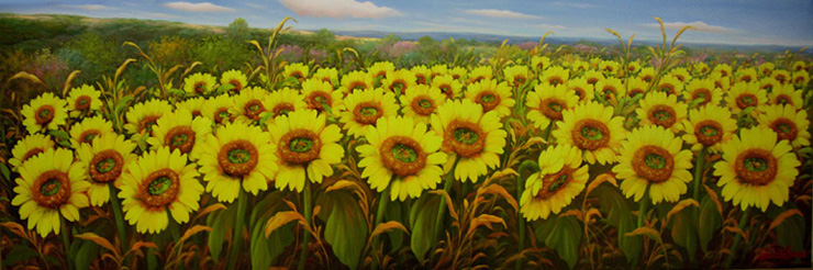 Campo di girasoli